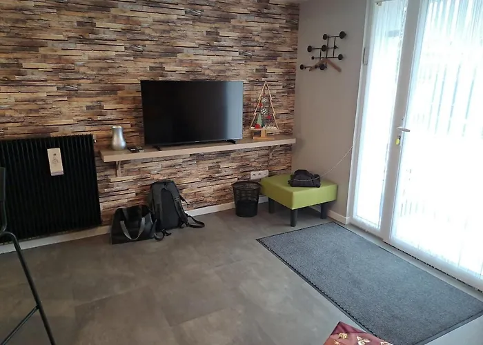 Moderne, Cosy, Parking, Parfait En Duo Geispolsheim